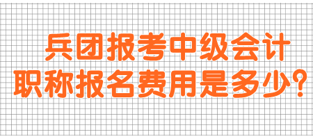 兵團(tuán)報(bào)考中級(jí)會(huì)計(jì)職稱報(bào)名費(fèi)用是多少？