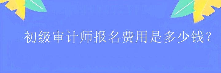 初級(jí)審計(jì)師報(bào)名費(fèi)用是多少錢(qián)？