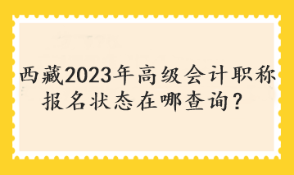 西藏2023年高級(jí)會(huì)計(jì)職稱報(bào)名狀態(tài)在哪查詢？