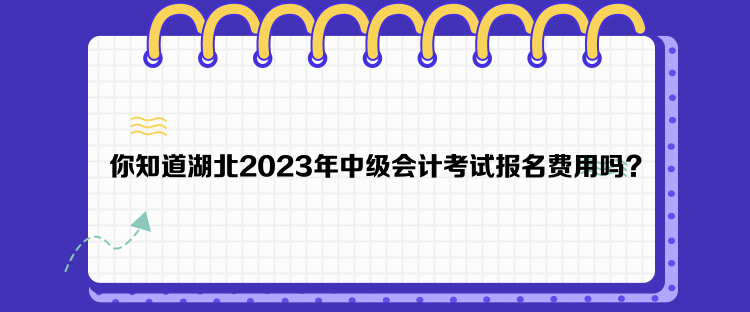 你知道湖北2023年中級(jí)會(huì)計(jì)考試報(bào)名費(fèi)用嗎？