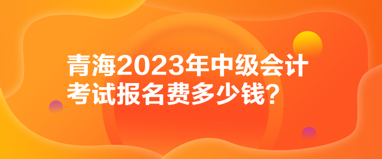 青海2023年中級會計考試報名費多少錢？