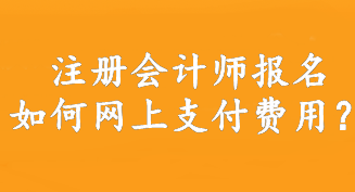 注冊會計師報名如何網(wǎng)上支付費用？