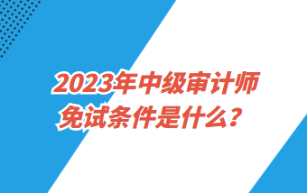 2023年中級審計師免試條件是什么？