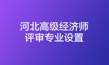 河北高級經濟師評審專業(yè)設置