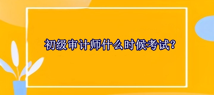 初級審計師什么時候考試？