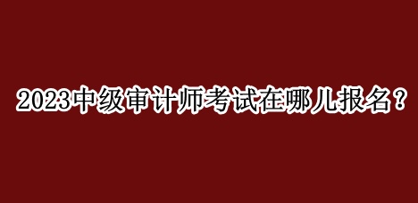 2023中級(jí)審計(jì)師考試在哪兒報(bào)名？