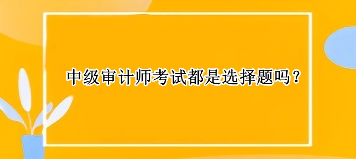 中級(jí)審計(jì)師考試都是選擇題嗎？