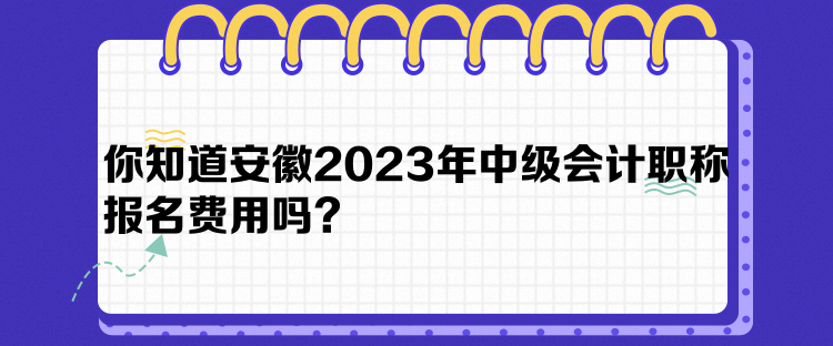 你知道安徽2023年中級(jí)會(huì)計(jì)職稱報(bào)名費(fèi)用嗎？