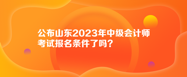 公布山東2023年中級(jí)會(huì)計(jì)師考試報(bào)名條件了嗎？