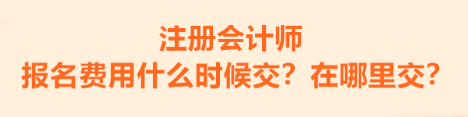 注冊會計師的報名費用什么時候交？在哪里交？