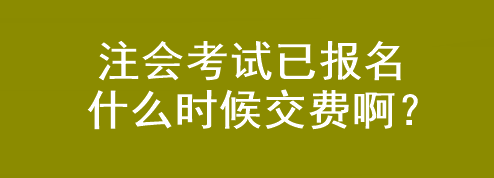 注會考試已報名 什么時候交費?。? suffix=