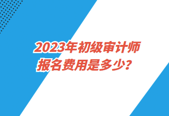 2023年初級(jí)審計(jì)師報(bào)名費(fèi)用是多少？