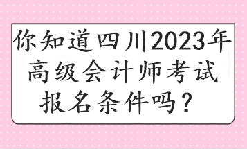 你知道四川2023年高級會計師考試報名條件嗎？