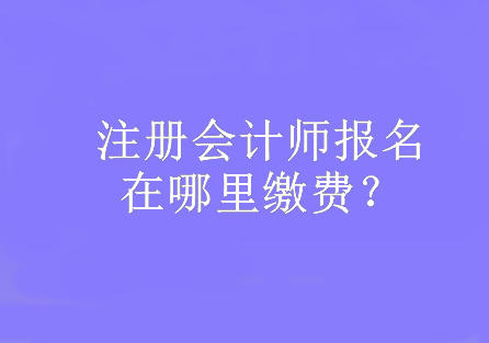 注冊(cè)會(huì)計(jì)師報(bào)名在哪里繳費(fèi)？