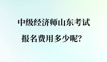 中級經(jīng)濟師山東考試報名費用多少呢？