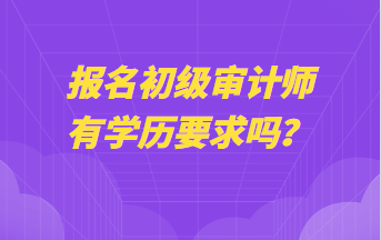 報(bào)名初級(jí)審計(jì)師有學(xué)歷要求嗎？