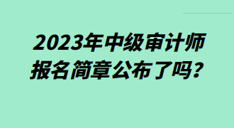 2023年中級(jí)審計(jì)師報(bào)名簡(jiǎn)章公布了嗎？