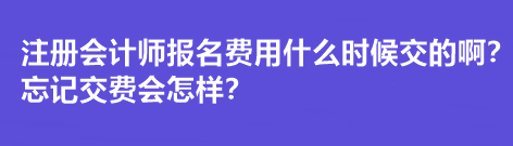 注冊(cè)會(huì)計(jì)師報(bào)名費(fèi)用什么時(shí)候交的??？忘記交費(fèi)會(huì)怎樣？