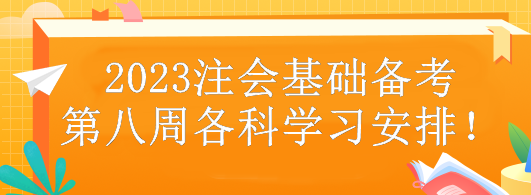 2023注會基礎(chǔ)備考第八周各科學習安排！