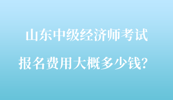 山東中級經(jīng)濟(jì)師考試報名費(fèi)用大概多少錢？