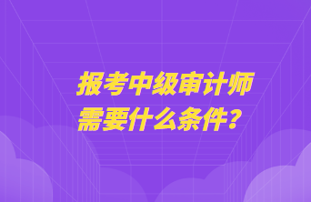 報考中級審計師需要什么條件？