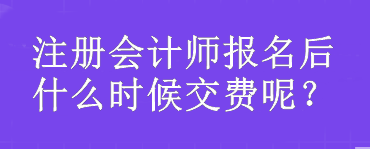 注冊會計師報名后什么時候交費呢？