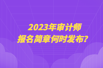 2023年審計(jì)師報(bào)名簡章何時(shí)發(fā)布？