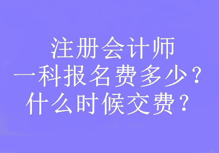 注冊會(huì)計(jì)師一科報(bào)名費(fèi)多少？什么時(shí)候交費(fèi)？