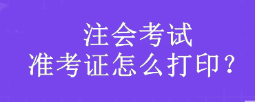 注會考試準(zhǔn)考證怎么打??？