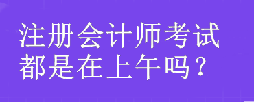 注冊(cè)會(huì)計(jì)師考試都是在上午嗎？