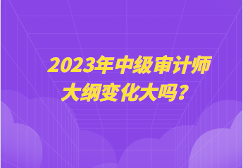 2023年中級(jí)審計(jì)師大綱變化大嗎？