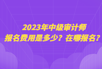 2023年中級審計(jì)師報(bào)名費(fèi)用是多少？在哪報(bào)名？