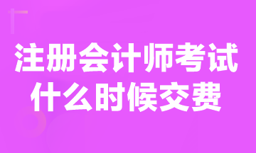 注會考試現(xiàn)在可以交費嗎？