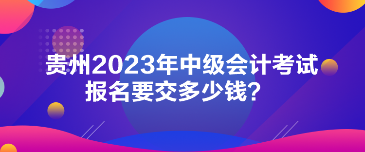 貴州2023年中級(jí)會(huì)計(jì)考試報(bào)名要交多少錢？