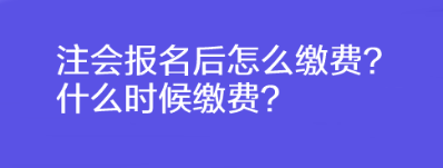 注會(huì)報(bào)名后怎么繳費(fèi)？什么時(shí)候繳費(fèi)？