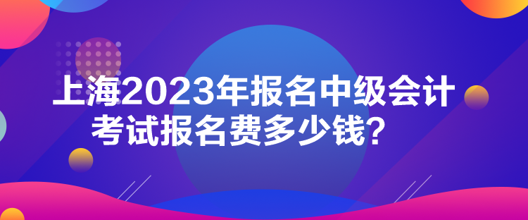 上海2023年報(bào)名中級(jí)會(huì)計(jì)考試報(bào)名費(fèi)多少錢？