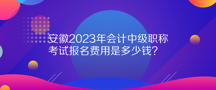 安徽2023年會計中級職稱考試報名費用是多少錢？