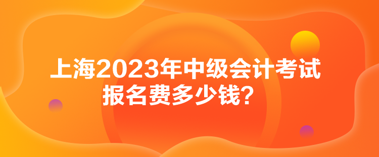 上海2023年中級(jí)會(huì)計(jì)考試報(bào)名費(fèi)多少錢？