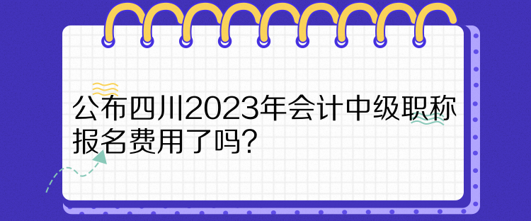 公布四川2023年會(huì)計(jì)中級(jí)職稱報(bào)名費(fèi)用了嗎？