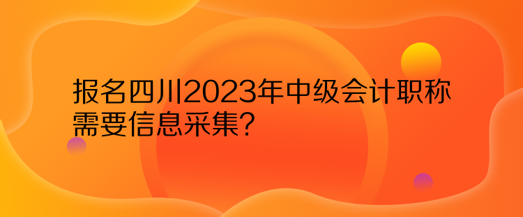 報(bào)名四川2023年中級會計(jì)職稱需要信息采集？