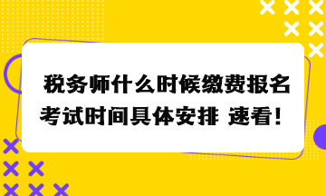 稅務(wù)師什么時(shí)候繳費(fèi)報(bào)名考試時(shí)間具體安排 速看！