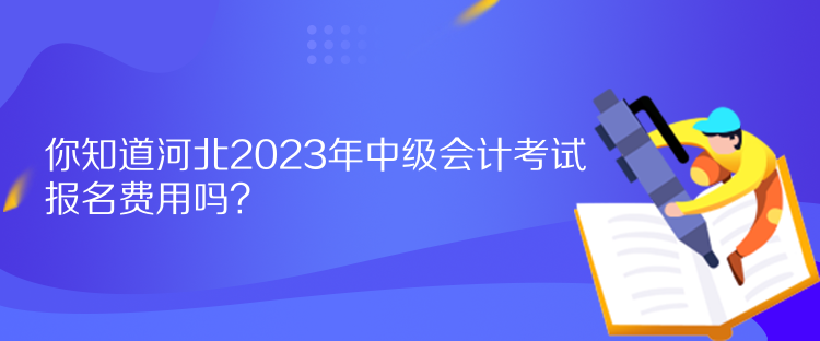 你知道河北2023年中級(jí)會(huì)計(jì)考試報(bào)名費(fèi)用嗎？