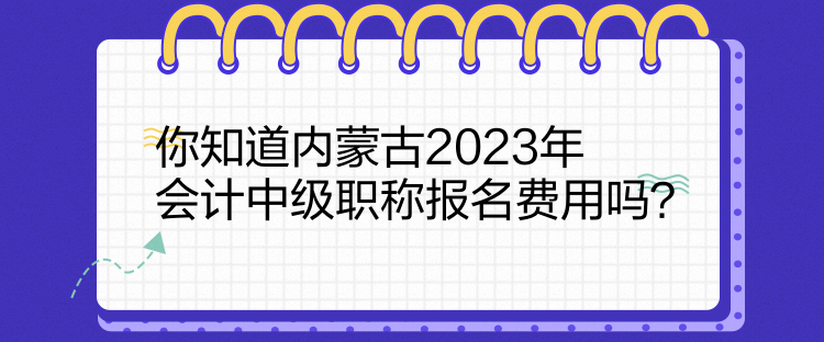 你知道內(nèi)蒙古2023年會計中級職稱報名費用嗎？