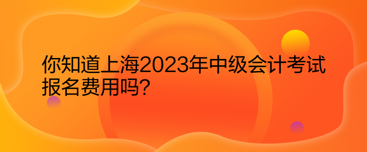 你知道上海2023年中級會計考試報名費用嗎？