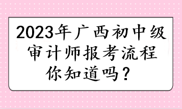 2023年廣西初中級(jí)審計(jì)師報(bào)考流程你知道嗎？