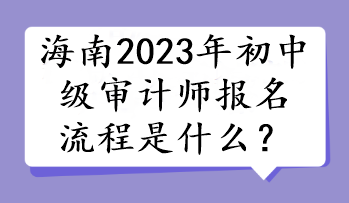 海南2023年初中級審計(jì)師報(bào)名流程是什么？