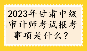 2023年甘肅中級(jí)審計(jì)師考試報(bào)考事項(xiàng)是什么？