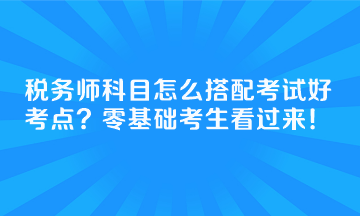 稅務(wù)師科目怎么搭配考試好考點(diǎn)？零基礎(chǔ)考生看過(guò)來(lái)！