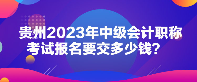 貴州2023年中級(jí)會(huì)計(jì)職稱考試報(bào)名要交多少錢？