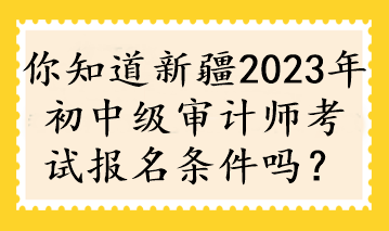 你知道新疆2023年初中級審計師考試報名條件嗎？